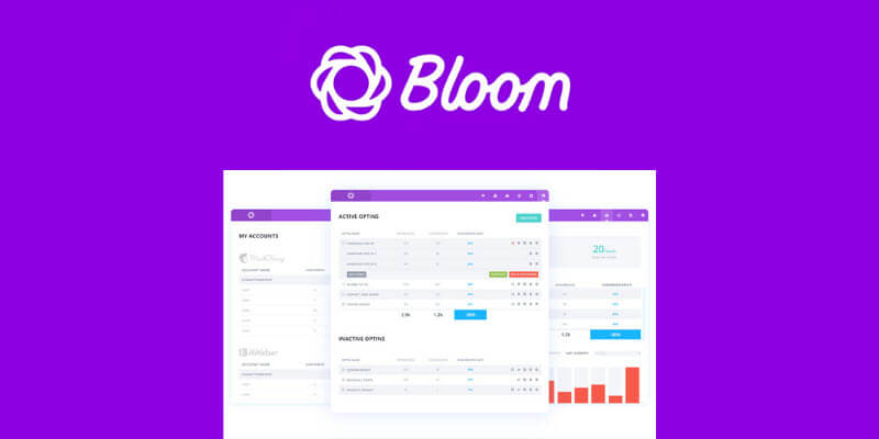 bloom-plugin-review