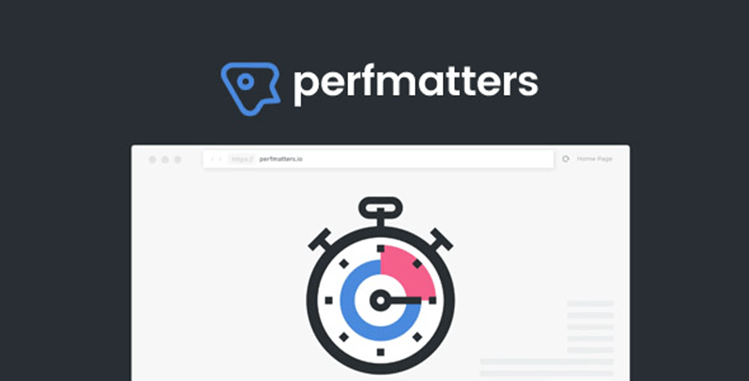 Perfmatters-review-plugin